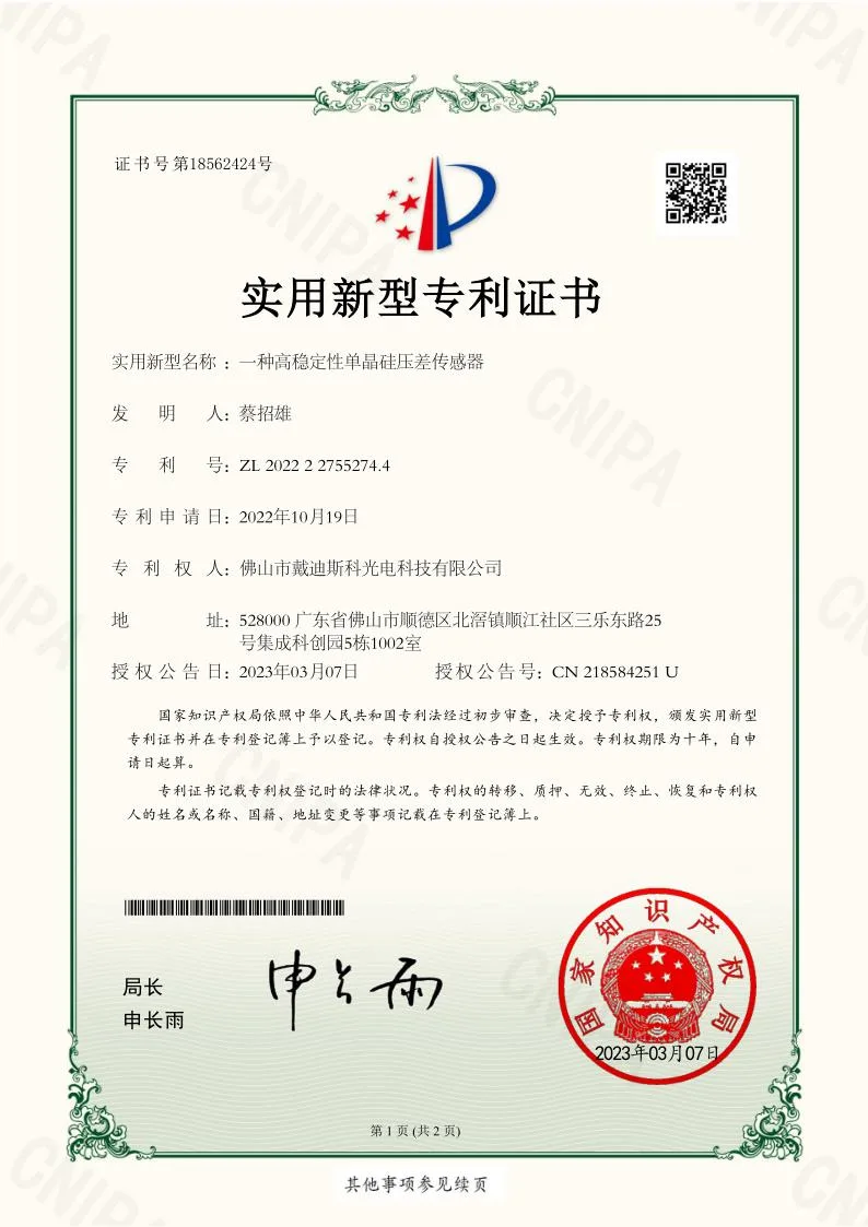 DAIDISIKE Patent — Silicon Pressure Sensor