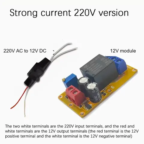 B2J0101 Economical Power-up Delay Module - 220V AC to 12V DC version with wiring notes